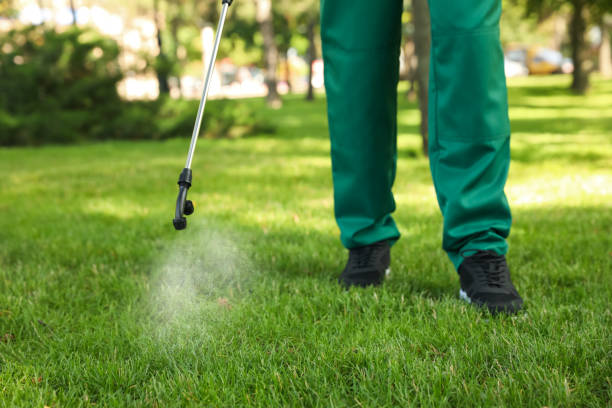 Best Best Pest Control Companies  in Potosi, MO