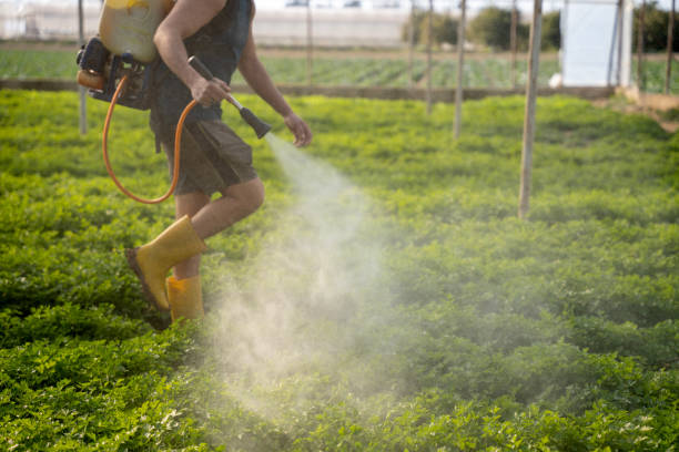 Best Exterminator Services  in Potosi, MO