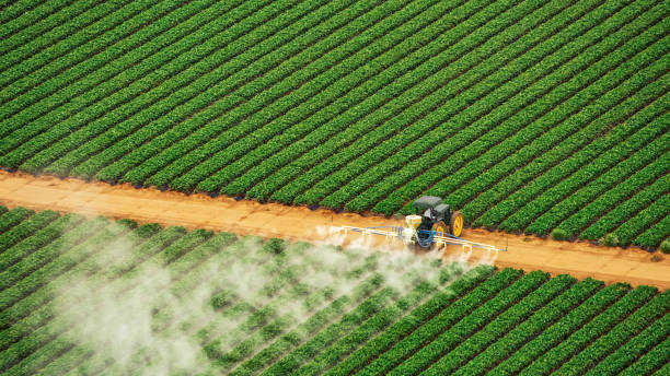 Best Termite Control Services  in Potosi, MO
