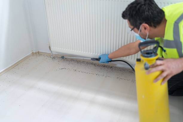Professional Pest Control in Potosi, MO