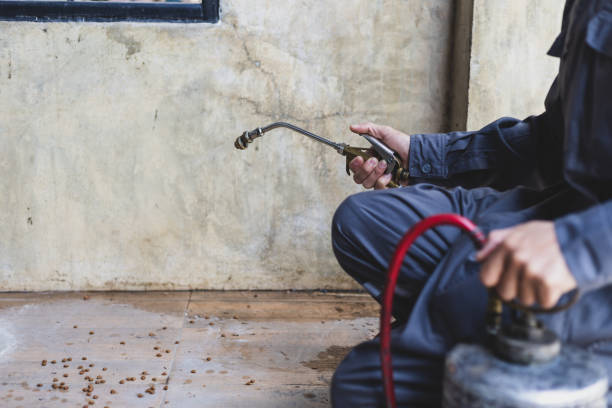 Best Pest Inspection Near Me  in Potosi, MO